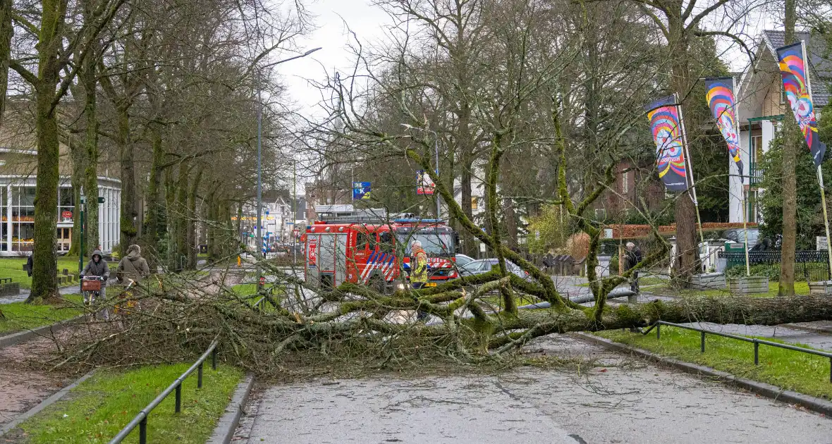 Lantaarnpaal geknakt door omgewaaide boom - Foto 1