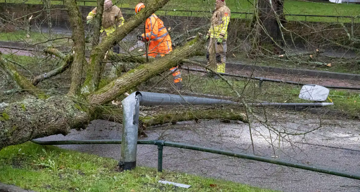 Lantaarnpaal geknakt door omgewaaide boom - Foto 10