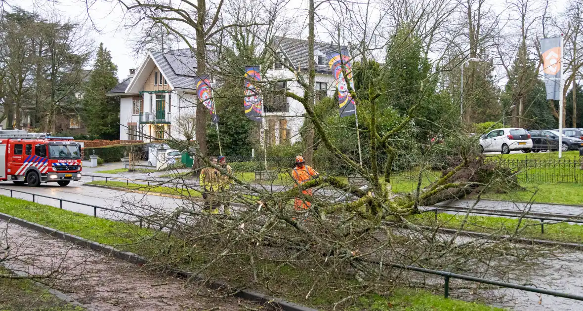 Lantaarnpaal geknakt door omgewaaide boom - Foto 2