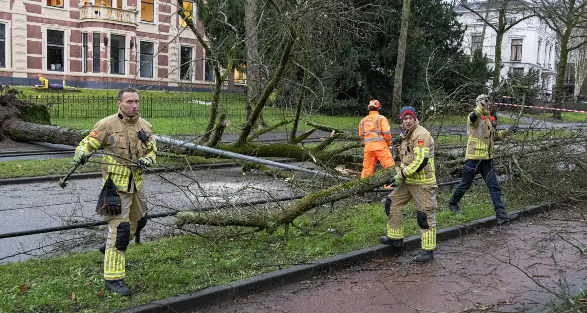 Lantaarnpaal geknakt door omgewaaide boom - Foto 3