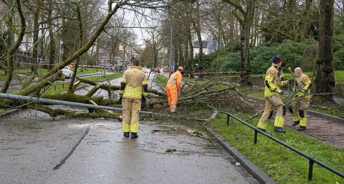 Lantaarnpaal geknakt door omgewaaide boom - Foto 4