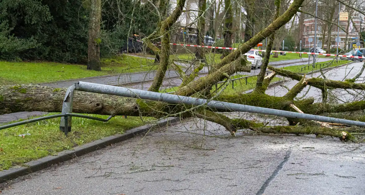 Lantaarnpaal geknakt door omgewaaide boom - Foto 5