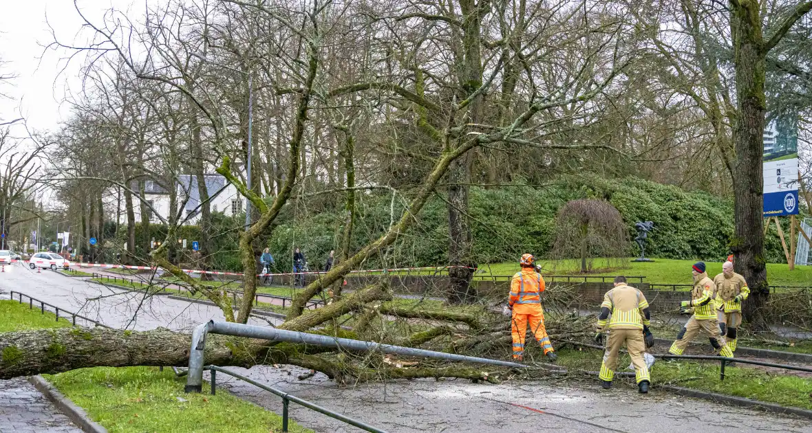 Lantaarnpaal geknakt door omgewaaide boom - Foto 6