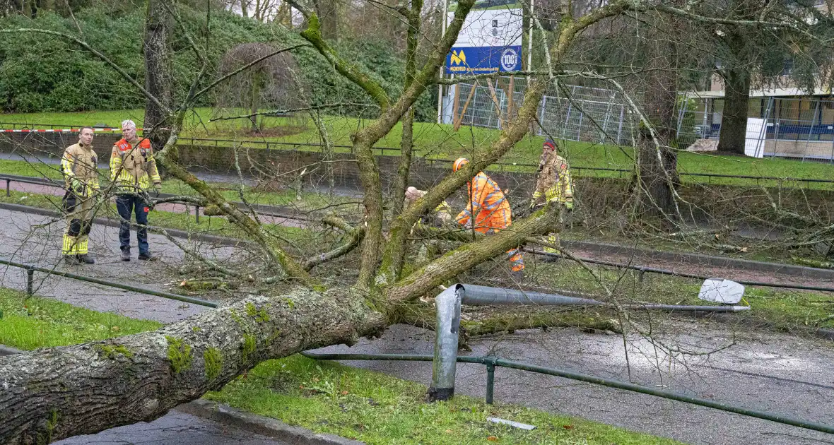 Lantaarnpaal geknakt door omgewaaide boom - Foto 9