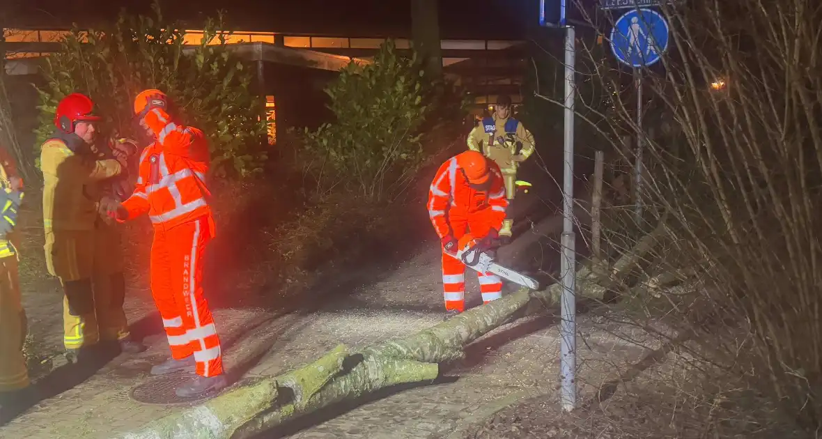 Grote boom blokkeert voetpad