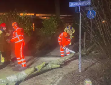 Grote boom blokkeert voetpad