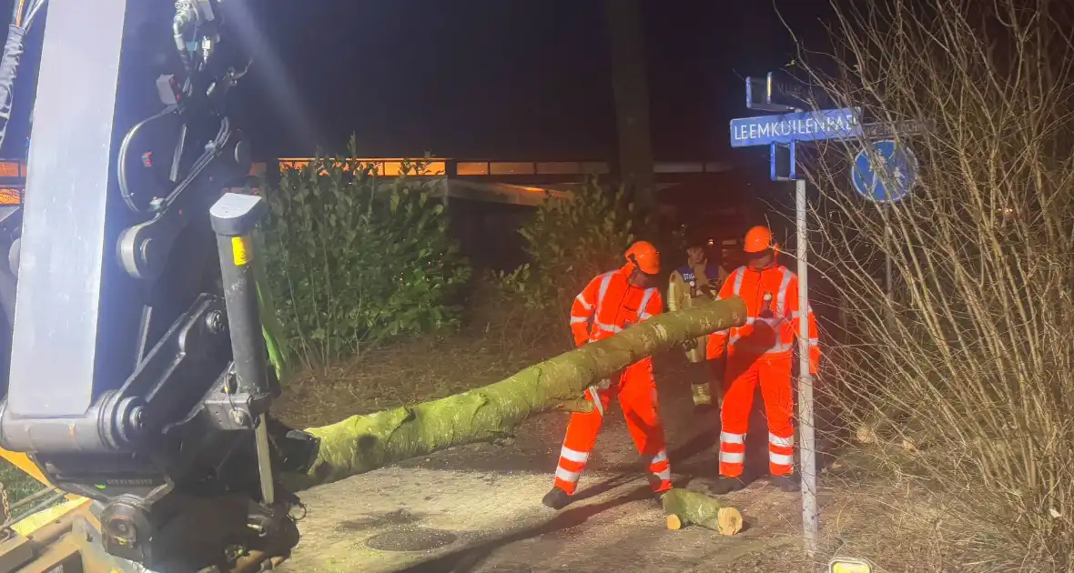 Grote boom blokkeert voetpad - Foto 1