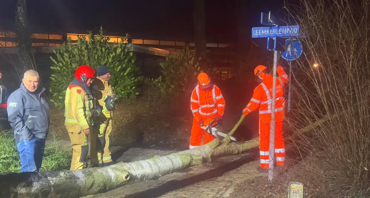 Grote boom blokkeert voetpad - Foto 6