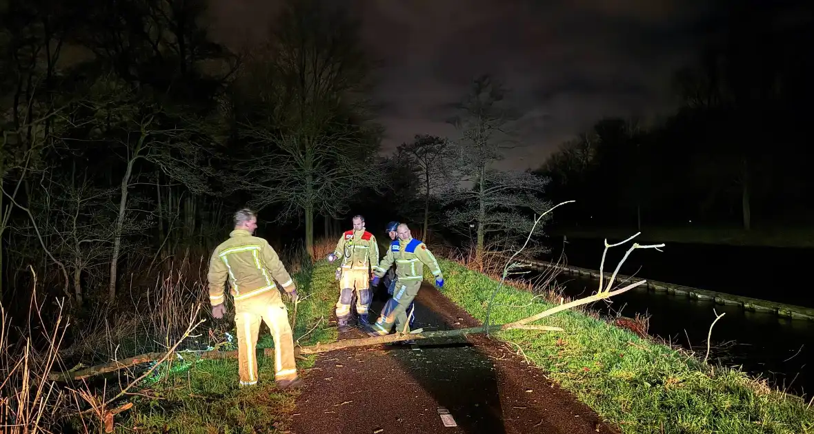 Boompje valt over fietspad - Foto 1