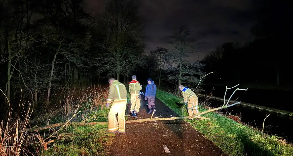 Boompje valt over fietspad - Foto 2