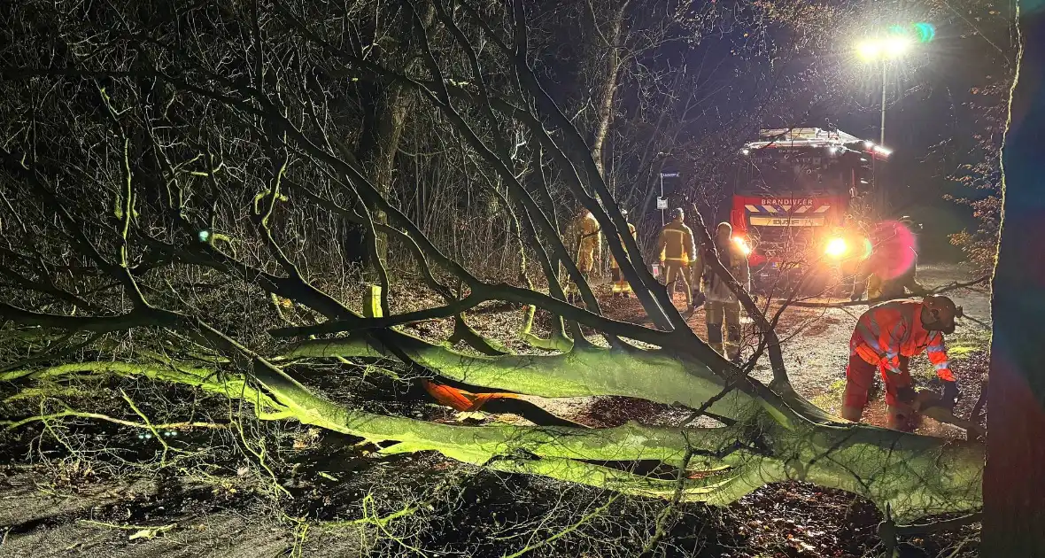 Boom blokkeert weg, brandweer maakt rijbaan vrij