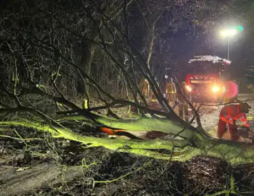 Boom blokkeert weg, brandweer maakt rijbaan vrij