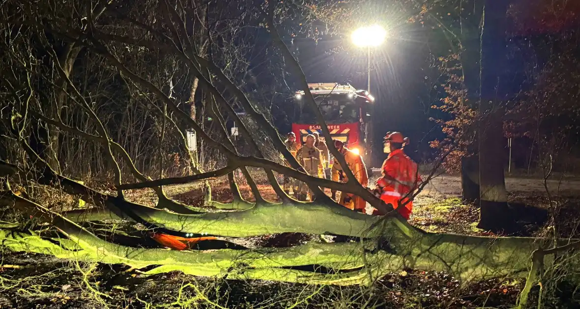 Boom blokkeert weg, brandweer maakt rijbaan vrij - Foto 1