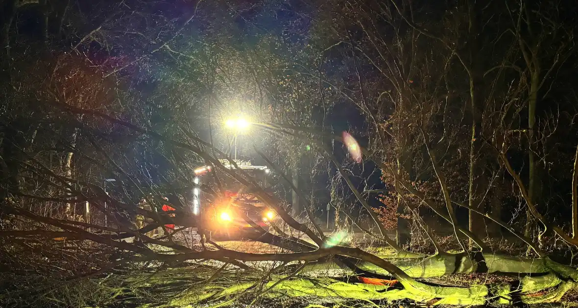 Boom blokkeert weg, brandweer maakt rijbaan vrij - Foto 2