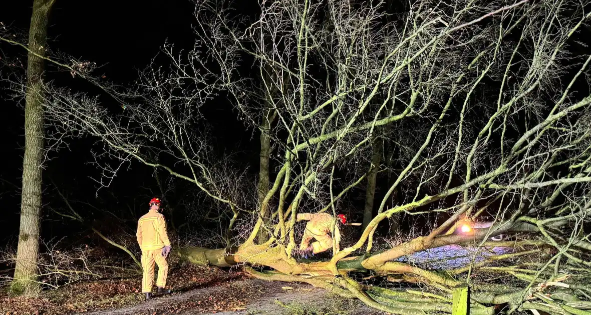 Boom blokkeert weg, brandweer maakt rijbaan vrij - Foto 3