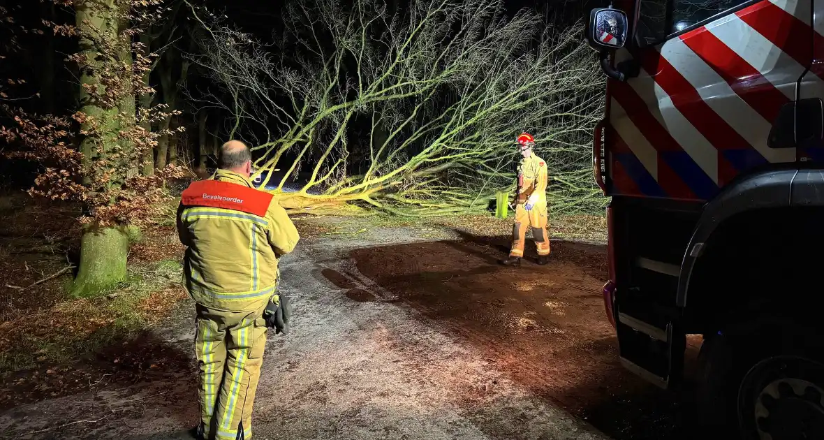 Boom blokkeert weg, brandweer maakt rijbaan vrij - Foto 4