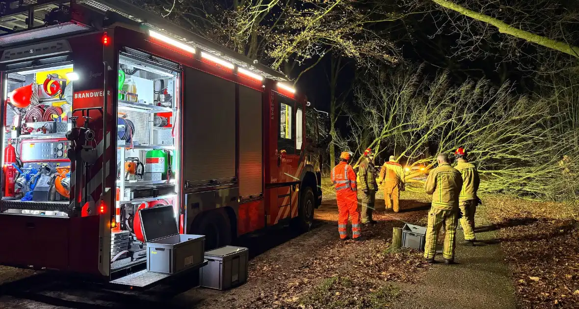 Boom blokkeert weg, brandweer maakt rijbaan vrij - Foto 5