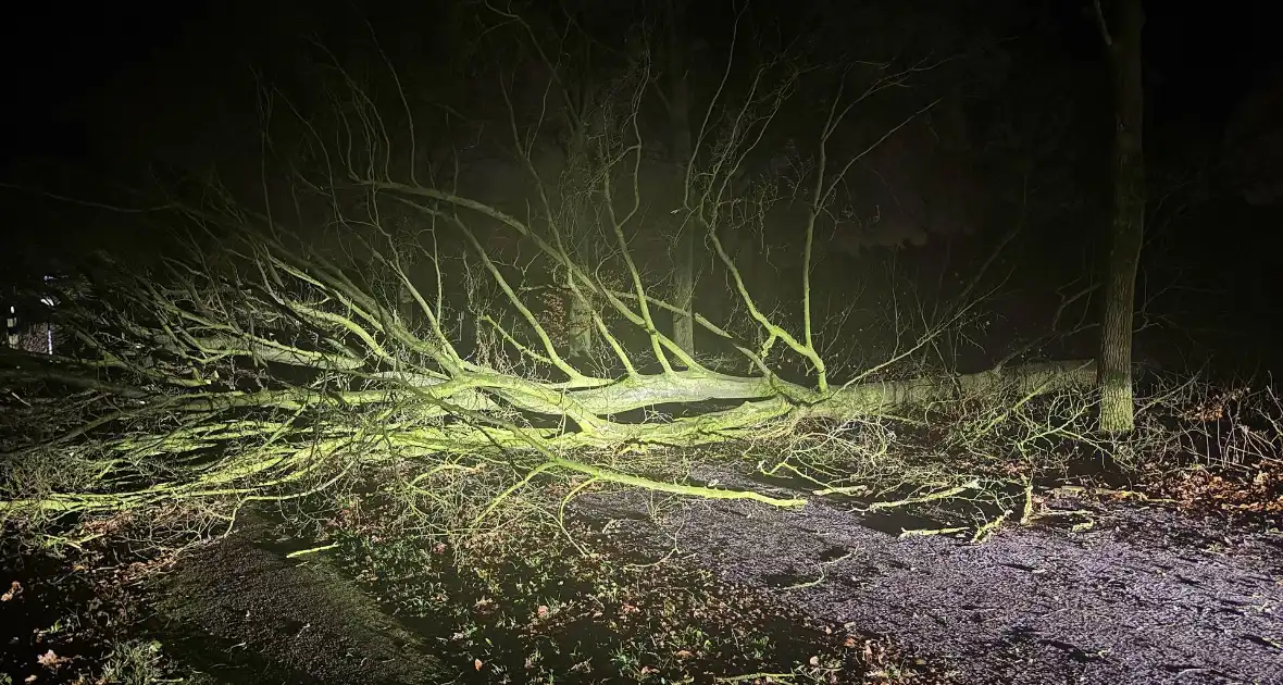 Boom blokkeert weg, brandweer maakt rijbaan vrij - Foto 7