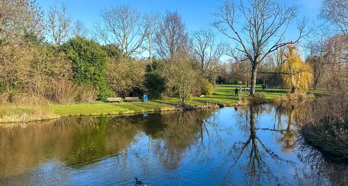 Getuigen gezocht straatroven Beatrixpark - Foto 2