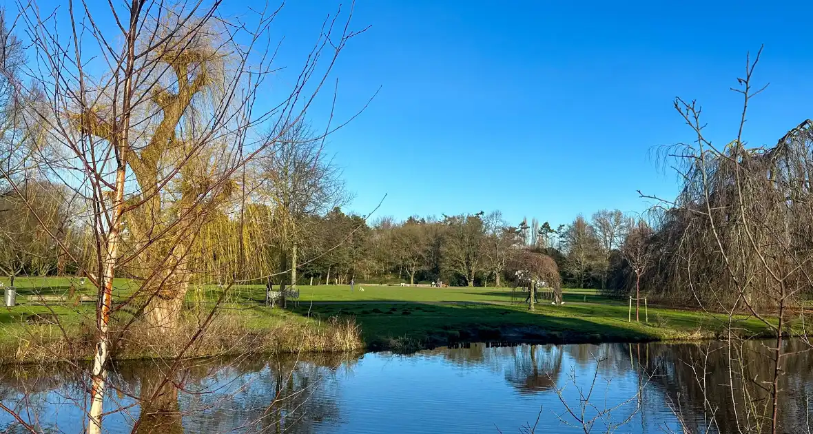 Getuigen gezocht straatroven Beatrixpark - Foto 3