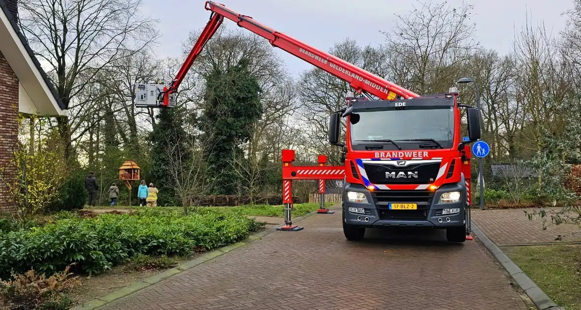 Gevaarlijk hangende tak over drukke wandelroute verwijderd