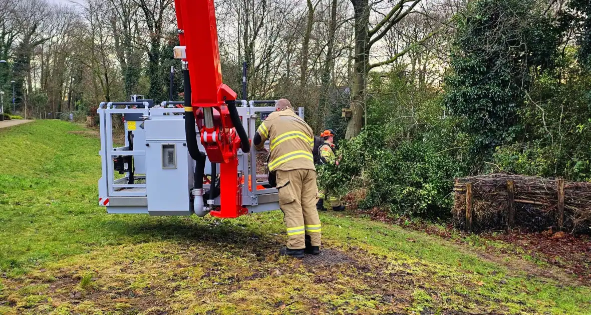 Gevaarlijk hangende tak over drukke wandelroute verwijderd - Foto 1