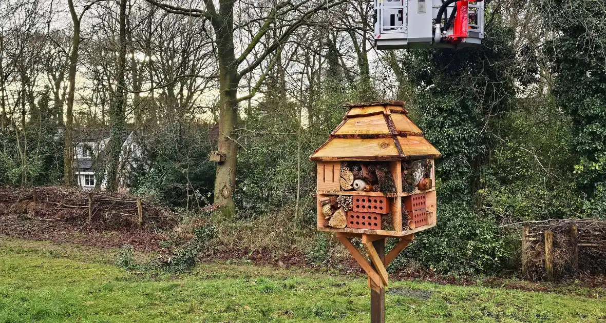 Gevaarlijk hangende tak over drukke wandelroute verwijderd - Foto 2