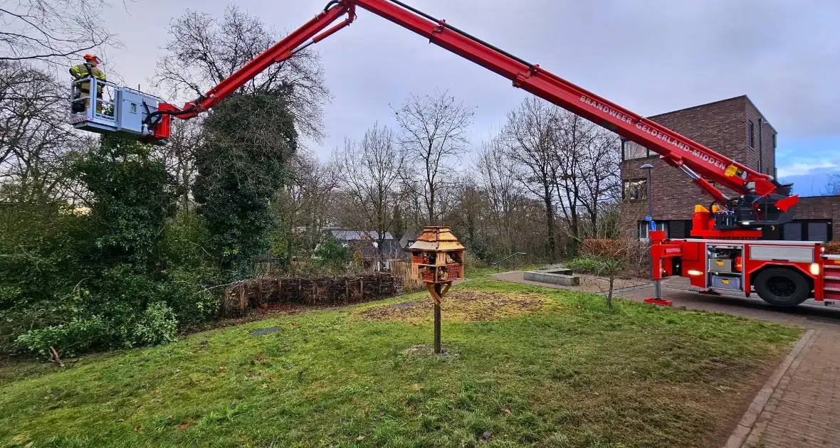 Gevaarlijk hangende tak over drukke wandelroute verwijderd - Foto 3