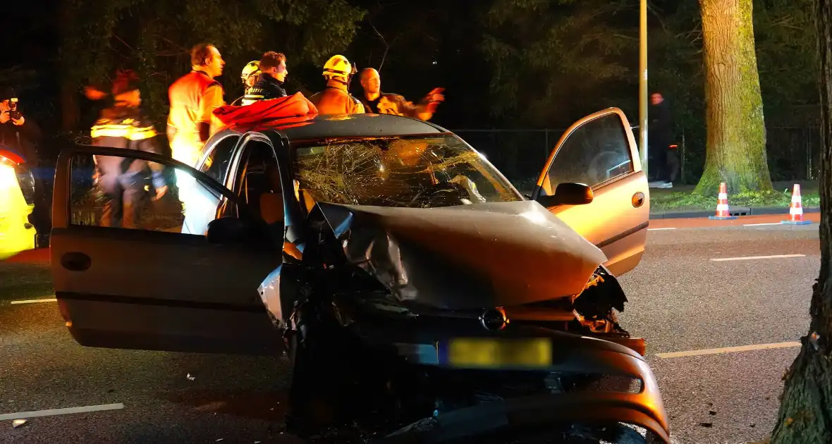 Automobilist belandt tegen een boom