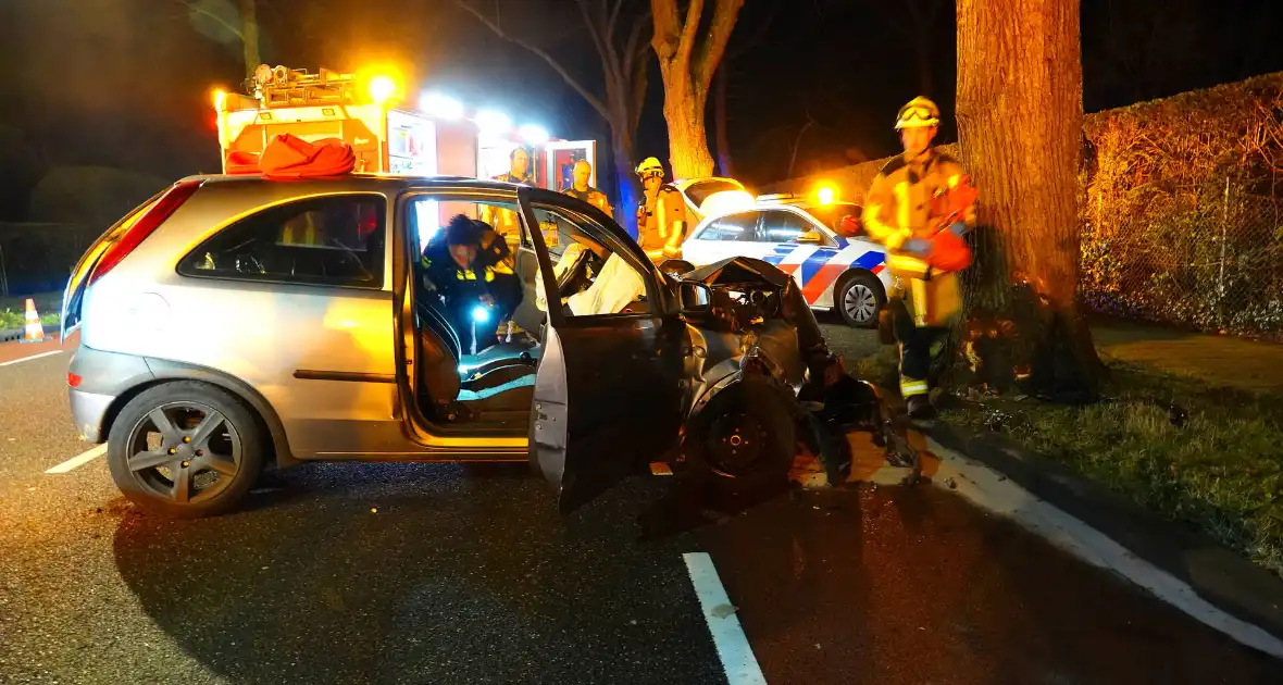 Automobilist belandt tegen een boom - Foto 2
