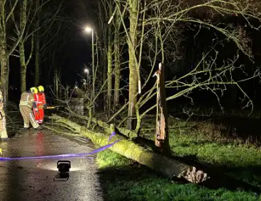 Boom valt over fietspad