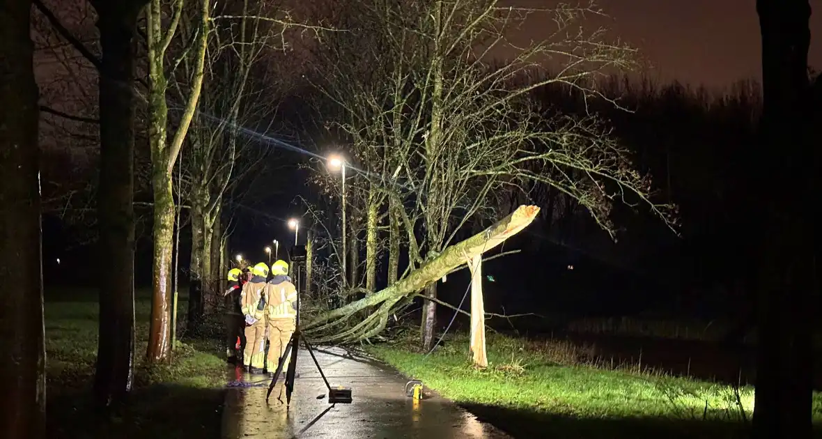 Boom valt over fietspad - Foto 1
