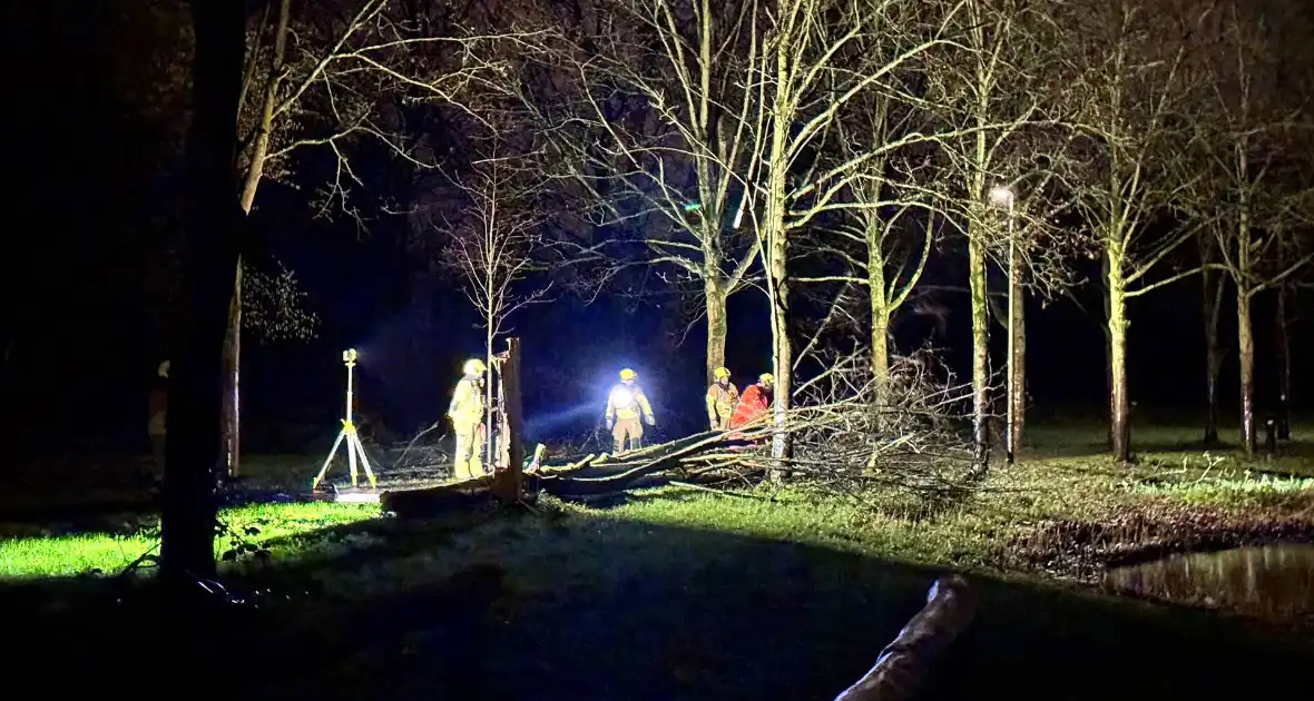 Boom valt over fietspad - Foto 2