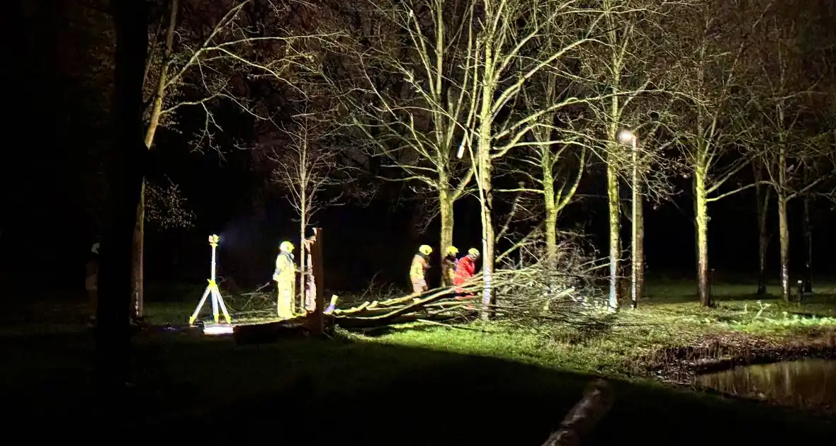 Boom valt over fietspad - Foto 3