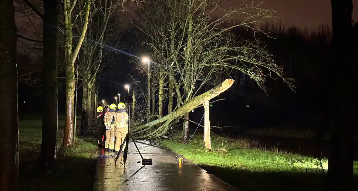 Boom valt over fietspad - Foto 4