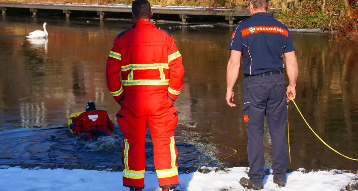 Zwaan bevrijdt zichzelf van ijzige situatie - Foto 1