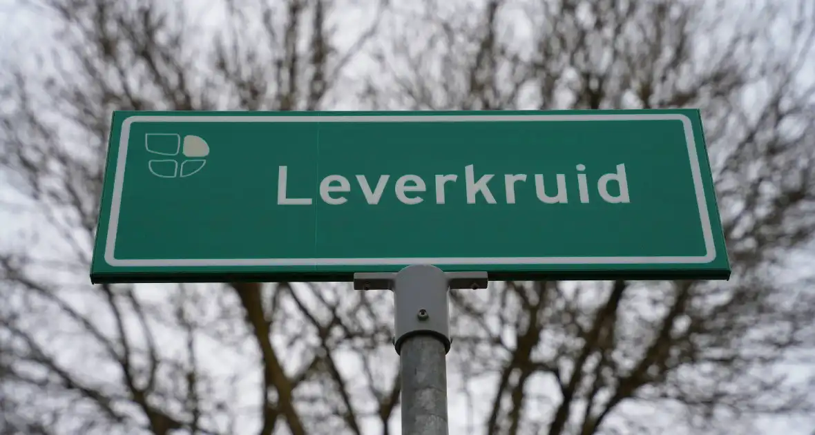 Meerdere autobanden lek gestoken - Foto 3