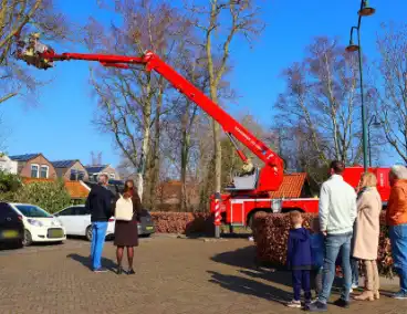 Dierenambulance en brandweer helpen kat uit boom