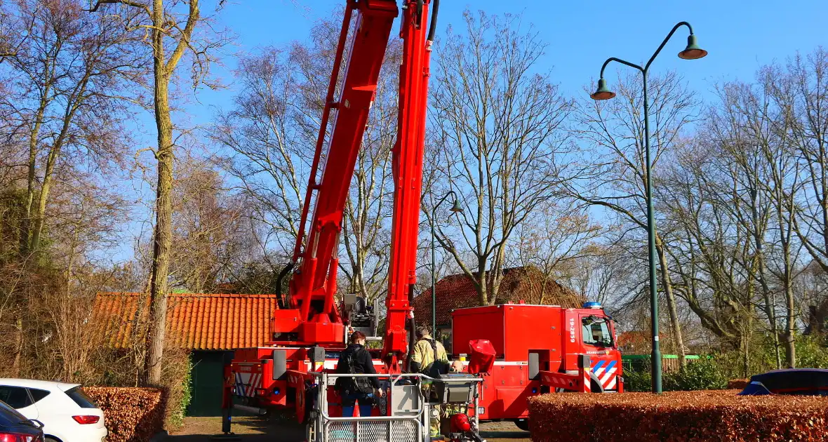 Dierenambulance en brandweer helpen kat uit boom - Foto 1