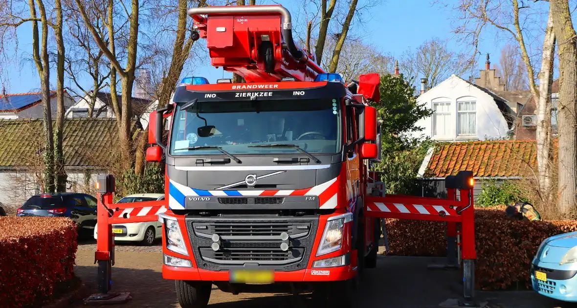 Dierenambulance en brandweer helpen kat uit boom - Foto 2
