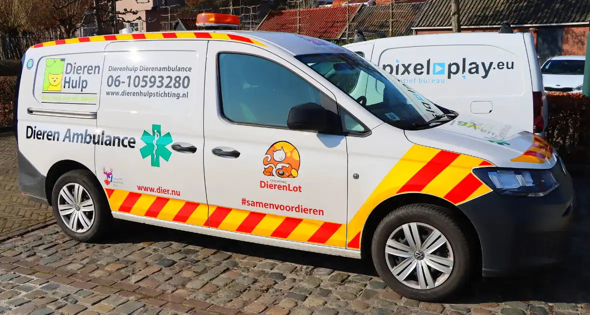 Dierenambulance en brandweer helpen kat uit boom - Foto 4
