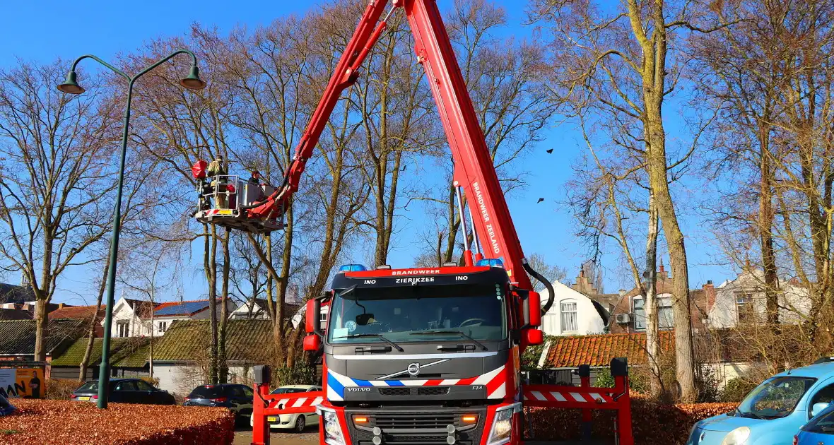 Dierenambulance en brandweer helpen kat uit boom - Foto 5