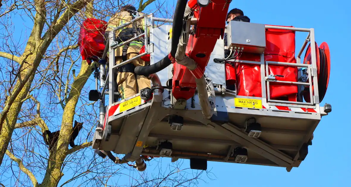 Dierenambulance en brandweer helpen kat uit boom - Foto 6