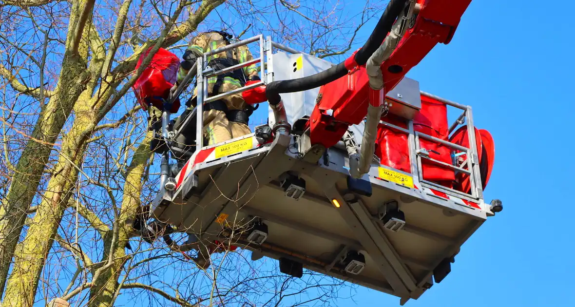 Dierenambulance en brandweer helpen kat uit boom - Foto 9