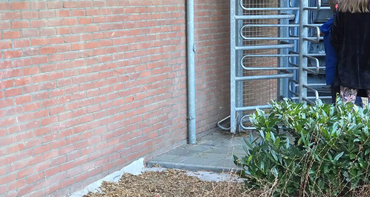 Brandweer bevrijdt Kind welke vast zit met hoofd zit in draaihek - Foto 1