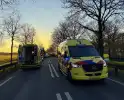 Hond gewond bij botsing tussen voertuigen