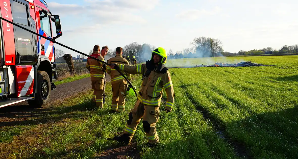 Snoeihout in vlammen, boom snel geblust - Foto 1