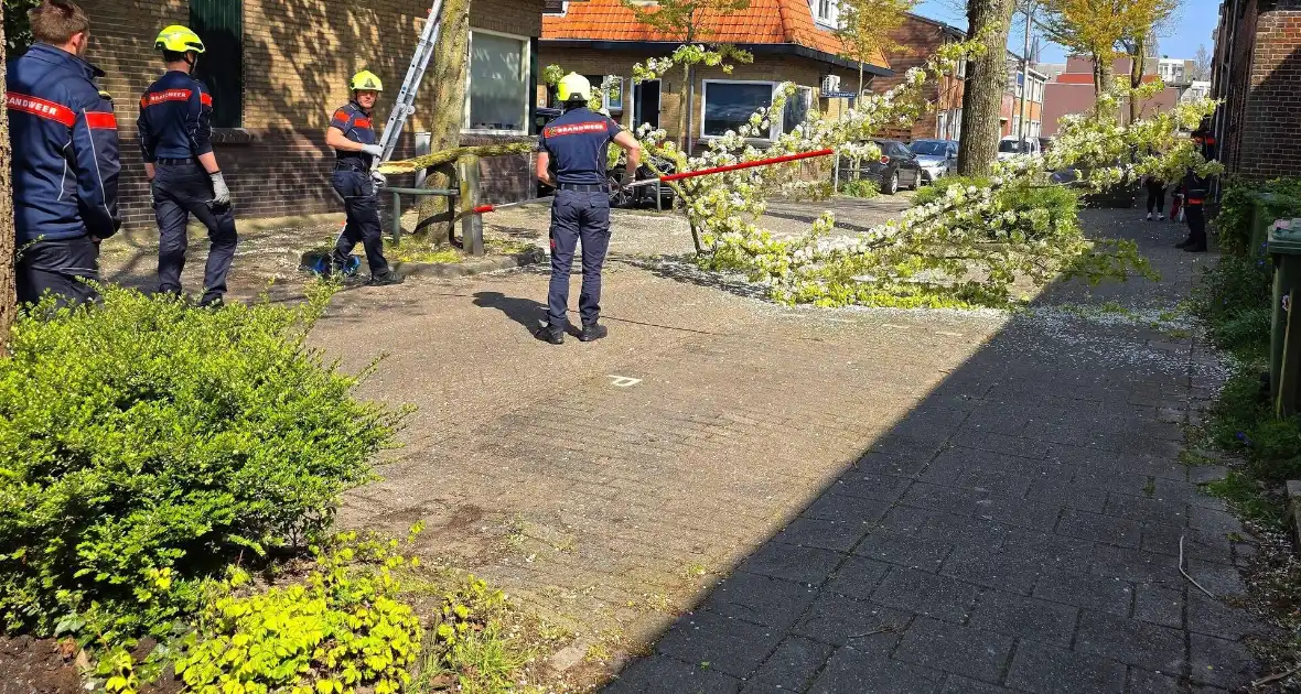Verhuiswagen raakt tak, brandweer opgeroepen