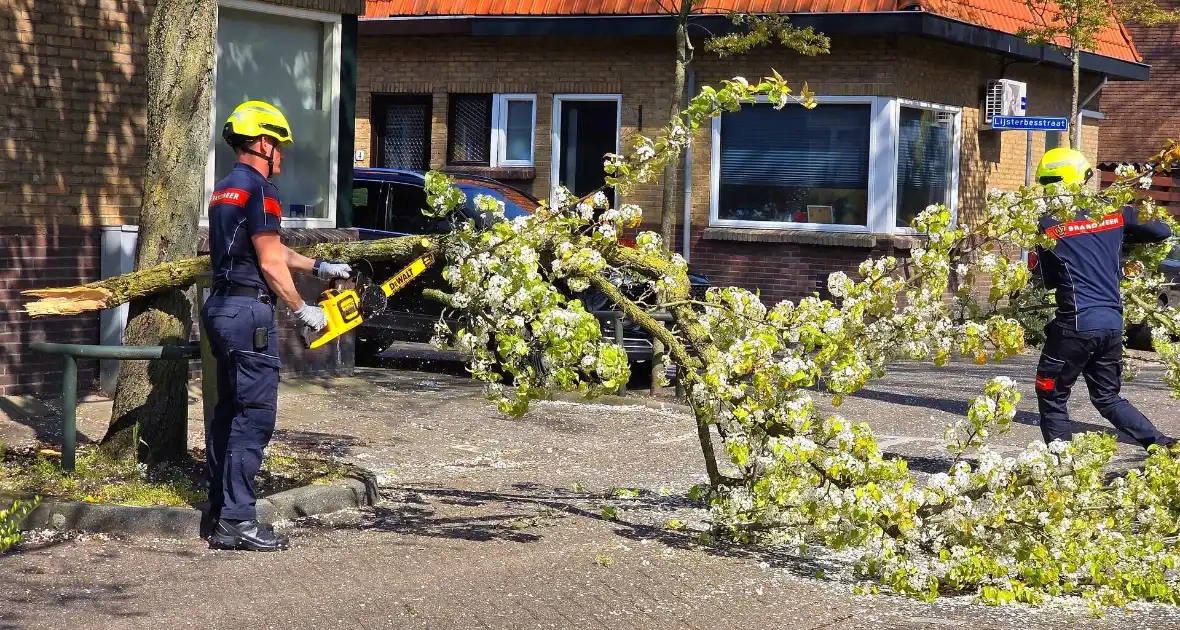 Verhuiswagen raakt tak, brandweer opgeroepen - Foto 1