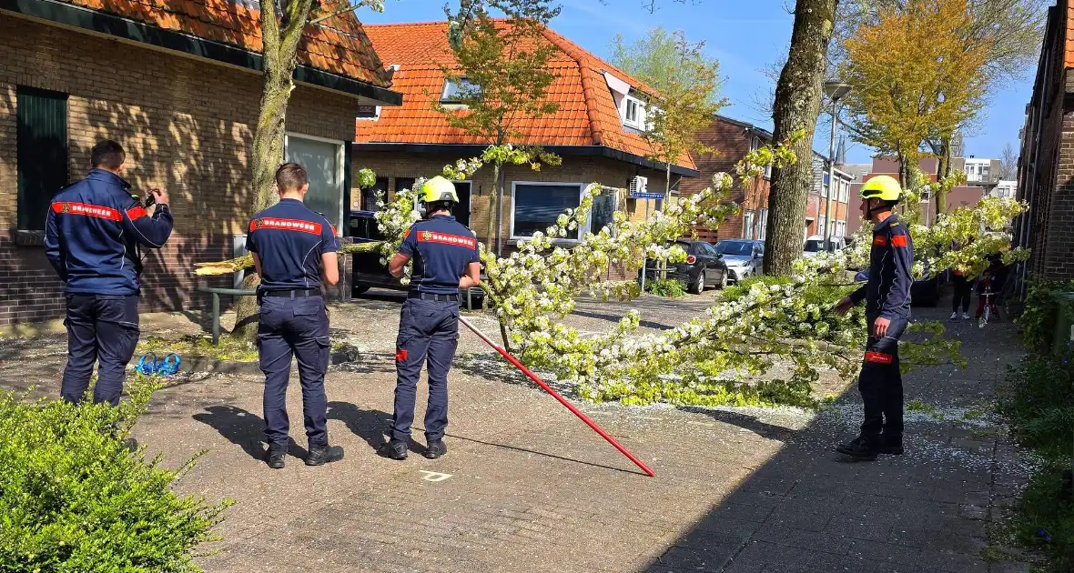 Verhuiswagen raakt tak, brandweer opgeroepen - Foto 2